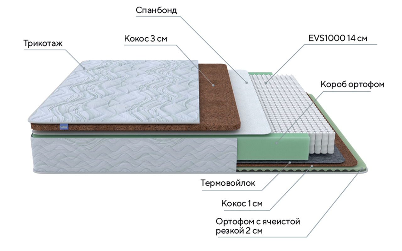 ProSon Dream Green Duo M/F фото 3